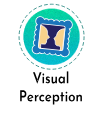 visual_perception